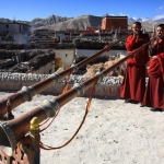 Тибетские монахи, Джомсон, Мустанг