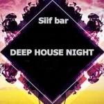 Deep House Night