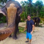 Селфи-снимок со слоном 