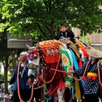 Фестиваль лошадей Chagu Chagu (Япония)